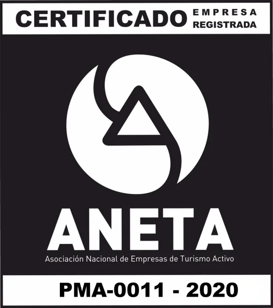 ANETA